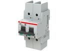 Disgiuntore ABB S802P-B125-R 2P 400V B-125A 50kA 3.5UM
