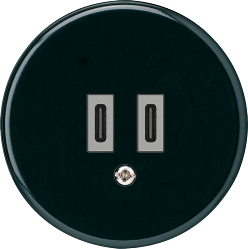 Prise de charge USB Hager basico C-C 20W 5V noir