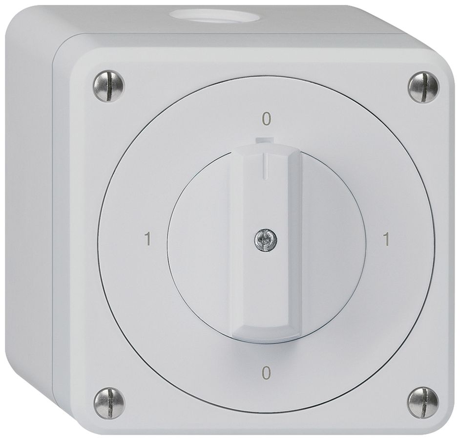 AP-Drehschalter robusto IP55 Schema 0/1P grau
