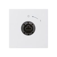 SchwenkTaster 0<-1/1L weiss kallysto für Schloss ohne Zylind