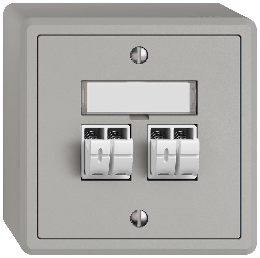 Prise audio AP EDIZIO.liv SNAPFIX® 2× grc