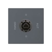 Einsatz zu Schlüsselschalter 0-Hand-0-Aut. kallysto 2/1L anthrazit für Schloss