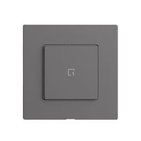 Abdeckset zu Szenentaster 1 Szene/1T Edue Wiser dunkelgrau