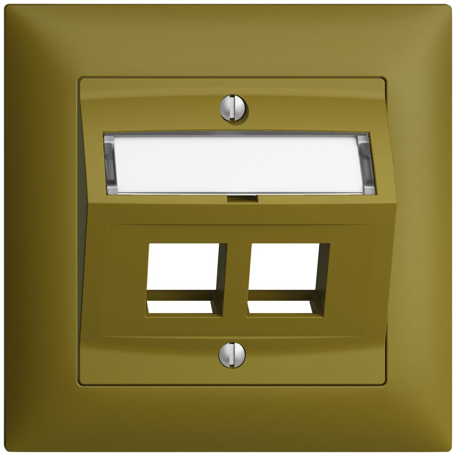 UP-Montageset EDIZIOdue FMI, mit Schrägauslasshaube, für 2×Keystone, olive