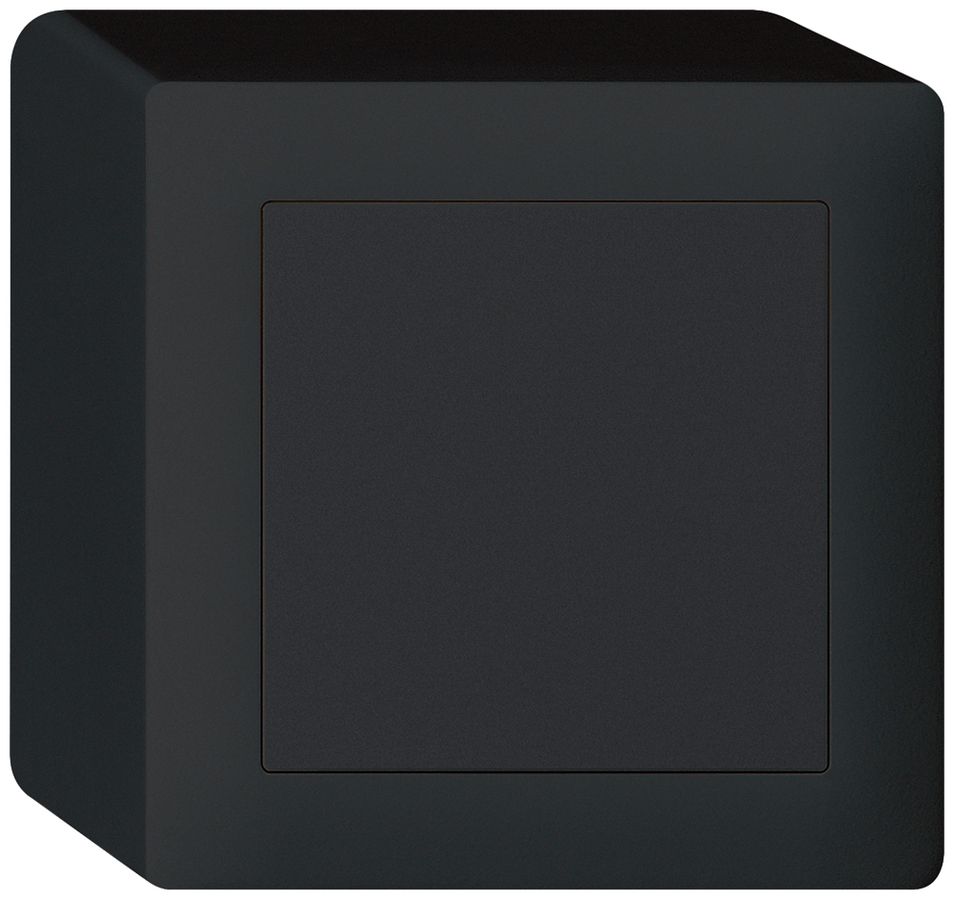 AP-Blindabdeckung kallysto schwarz ohne Schraube