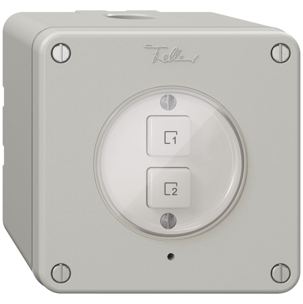 AP-Szenentaster 2 Szenen vertikal/2T NEVO Wiser lichtgrau