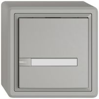 Poussoir KNX RGB AP EDIZIO.liv SNAPFIX® capteur temp.RGB-LED étiqu.1×com.1T grc