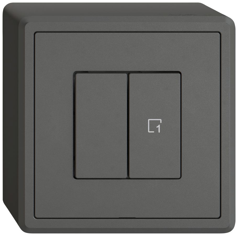 Station sec.interr.AP EDIZIO.liv Wiser SNAPFIX® 1 canal 1 scène 2 touches grf