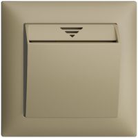 UP-Schalter Hotelcard 250VAC 1L EDIZIOdue sand