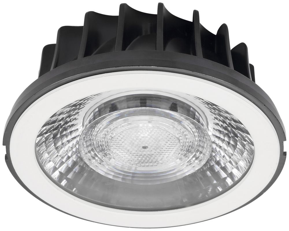Modulo LED INS per LUDOSPOT 111, 230V 24W 2225lm 4000K 38° bianco