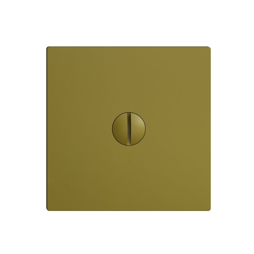 Plaque d'obturation EDIZIOdue olive