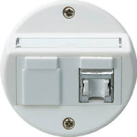 UP-Einsatz basico A Kat.6 1×RJ45/s Schrägauslass weiss