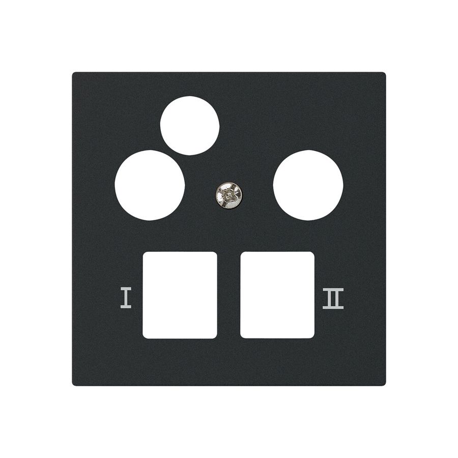 Placca frontale kallysto per R&M HWS nero 3 fori dati multimedia