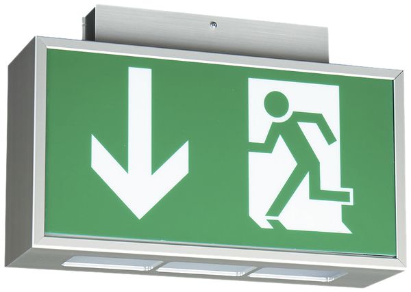 LED-Not-/Hinweisleuchte CALR LED PE+T-D, mit Autotest, 1h, Decke