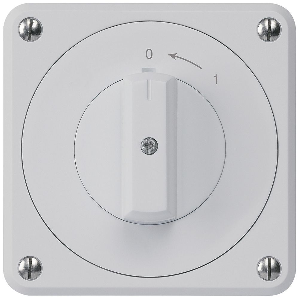 UP-Schwenktaster robusto IP55 grau 2P für Kombination