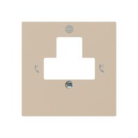 Placca frontale kallysto per presa di ritorno 2 DSL beige