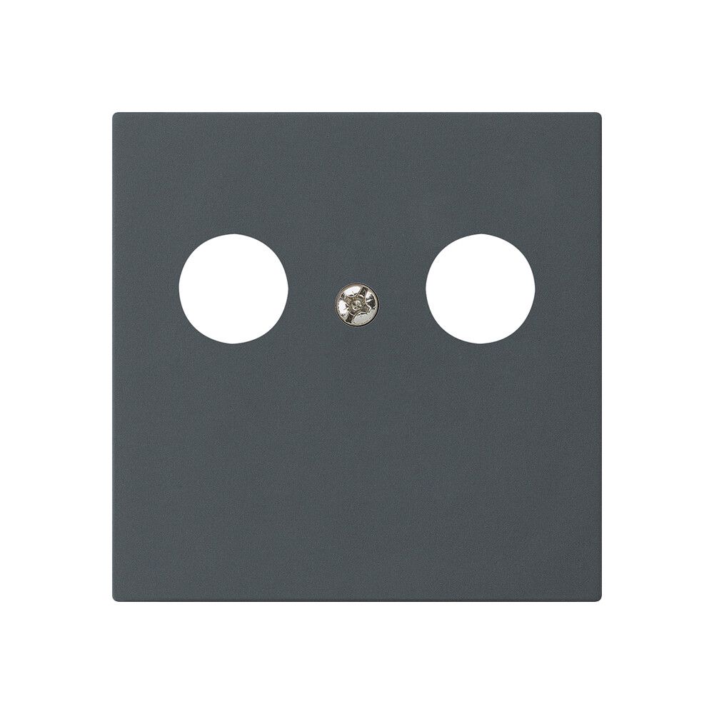 Placca frontale kallysto per R&M HWS antracite 2×coass.