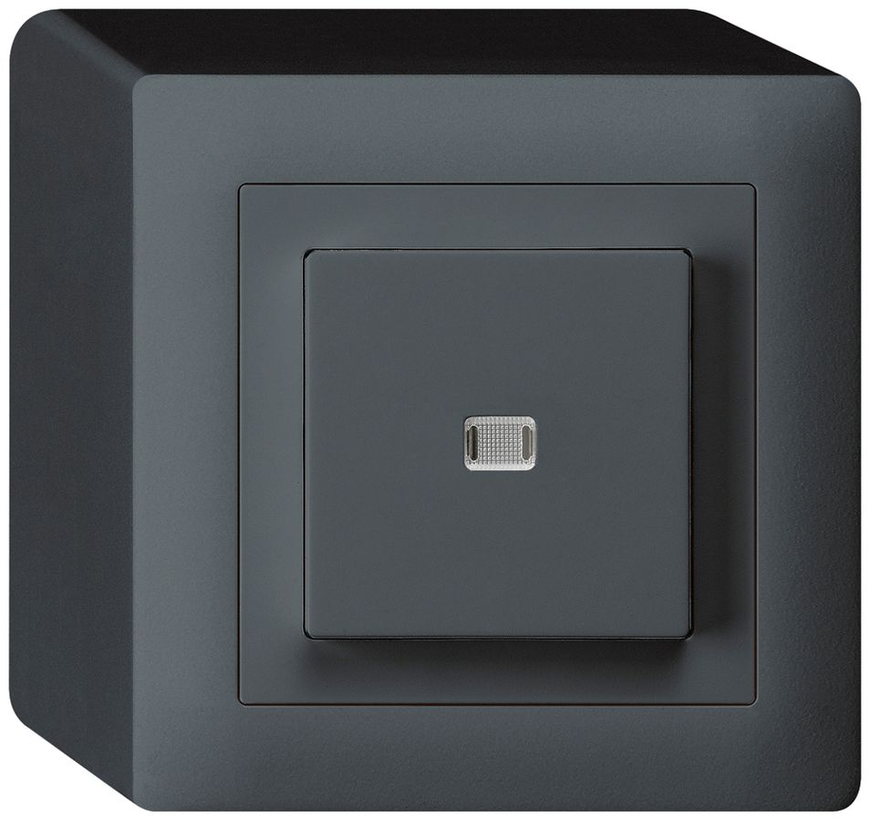 AP-Leuchtdruckschalter kallysto 3/1L anthrazit