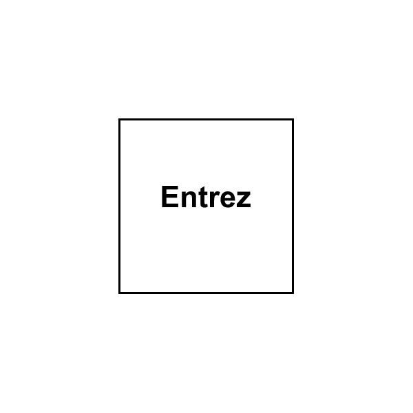 Feuille EDIZIOdue pos. noir 42×42mm pour lampe LED