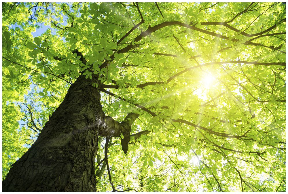 Motivplatte DOTLUX SKYLIGHT Motiv 1 für EB-Panel Raster 1×1 für 620×620