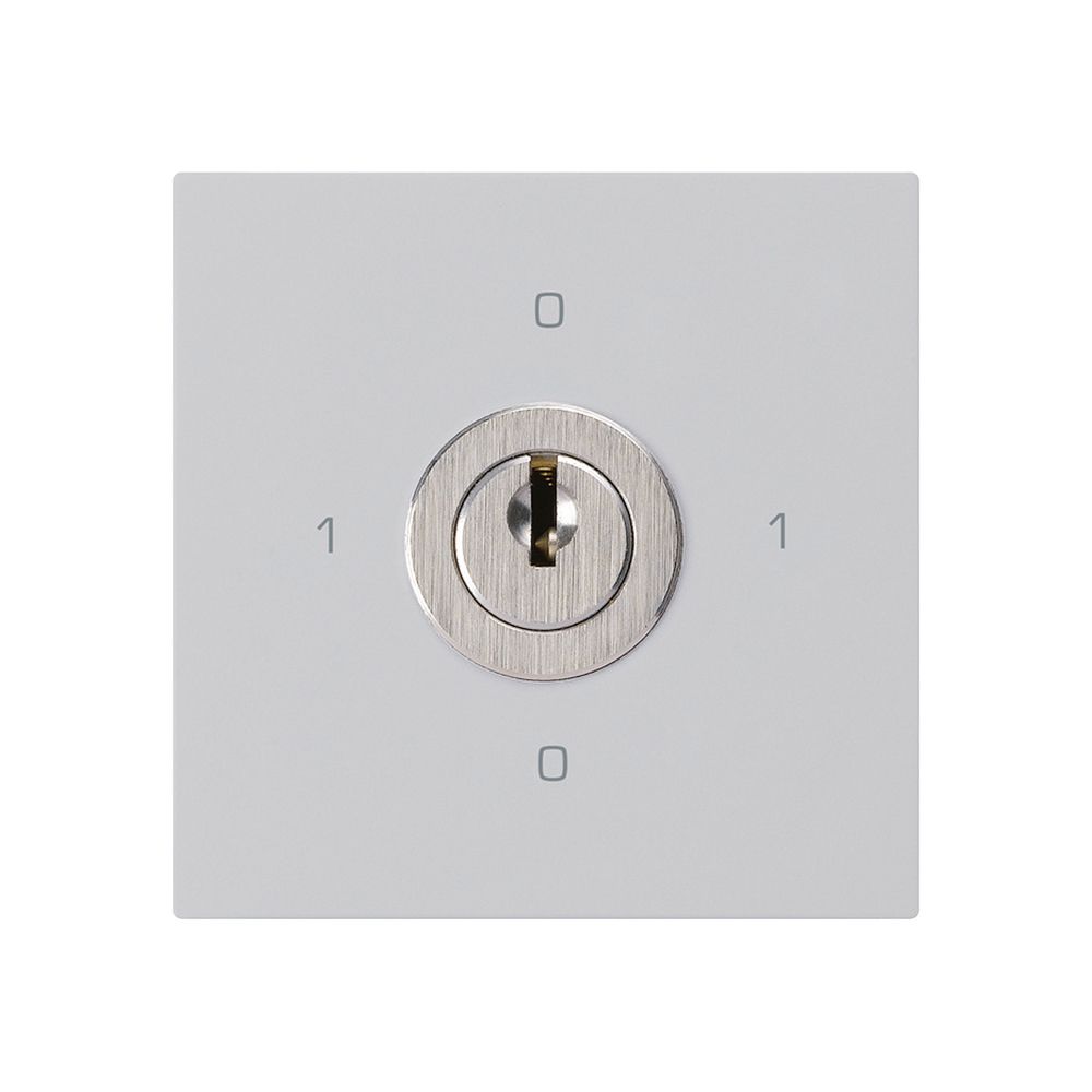 Intérieur interrupteur à clé kallysto 0/1L gris clair avec serrure Kaba 8