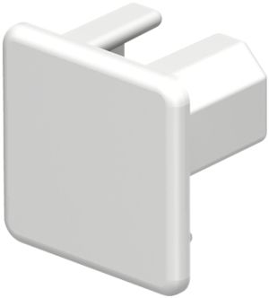 Plaque de fermeture Bettermann pour canal d'installation WDK blanc pur 20×20mm