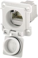 Modul-Flansch RJ45 Weidmüller V6 SnapIn gerade Cat.6, IP67