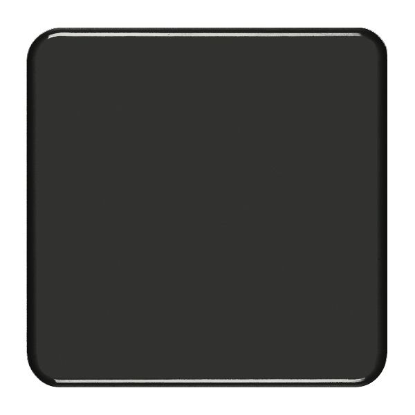 Abdeckplatte 2×2 ohne Bohrung schwarz