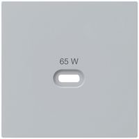 Frontplatte Hager kallysto, zu USB-Ladesteckdose Typ C, hellgrau