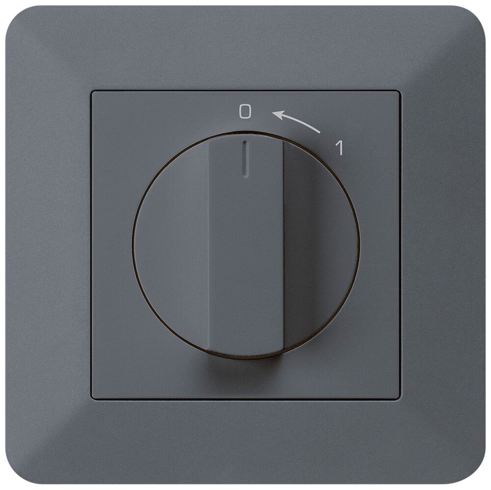 Contact pivotant ENC 0<-1/1L anthracite kallysto.trend avec manette