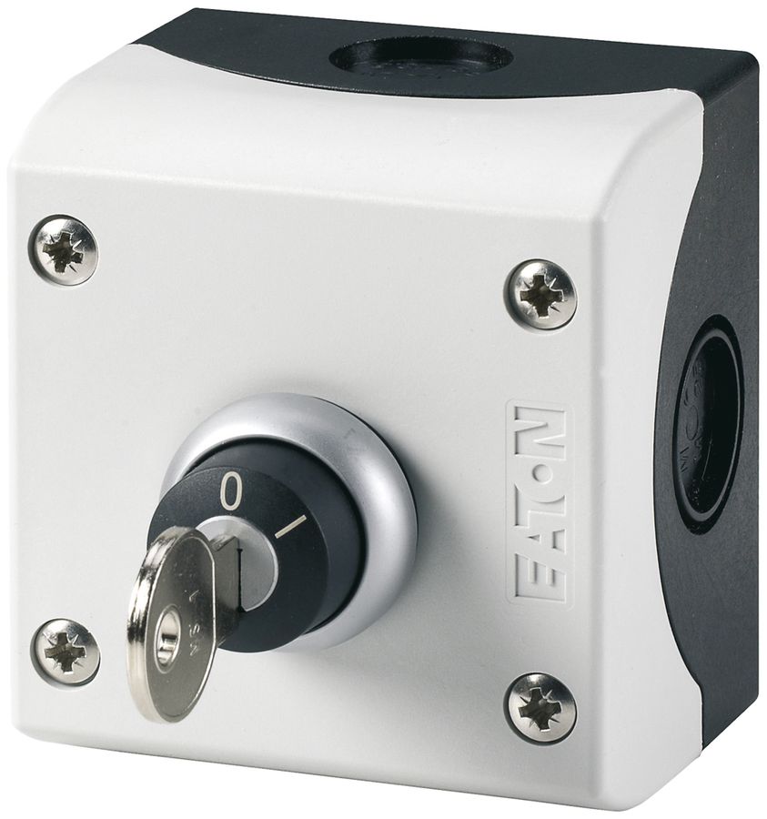 AP-Schlüsselschalter ETN 10A 1S/Ö grau