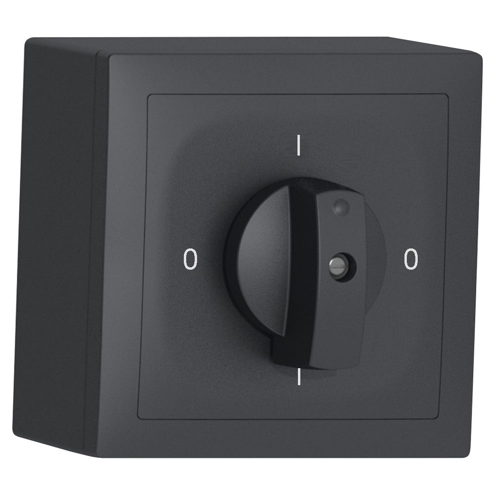 AP-Drehschalter SIDUS A 0/2L anthrazit