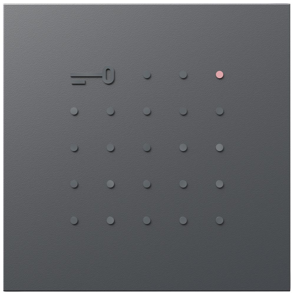 Module lecteur de transpondeur Siedle indépendant du système 12V AC/DC gris