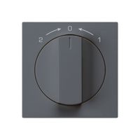 Schwenktaster 1->0<-2 anthrazit kallysto mit Drehgriff