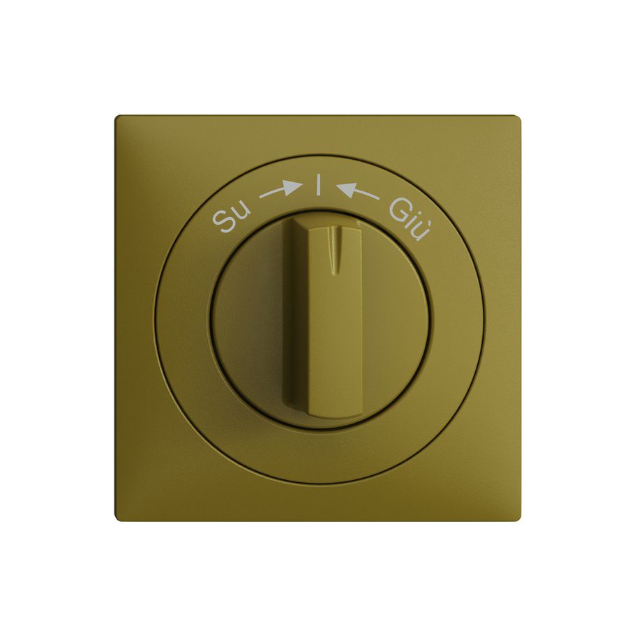 Frontset EDIZIOdue Su->I<-Giù olive 60×60mm für Schwenktaster