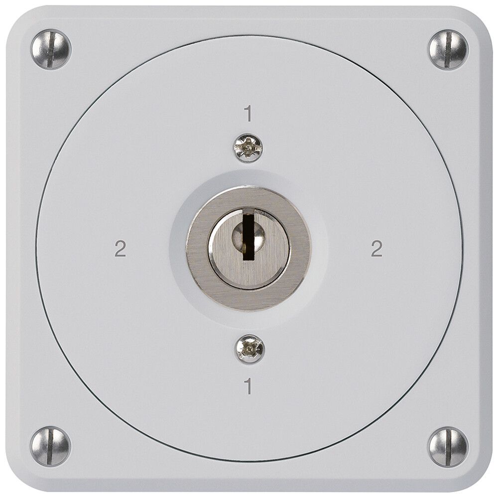 Interruttore a chiave INC robusto senza copertura 3/1P grigio