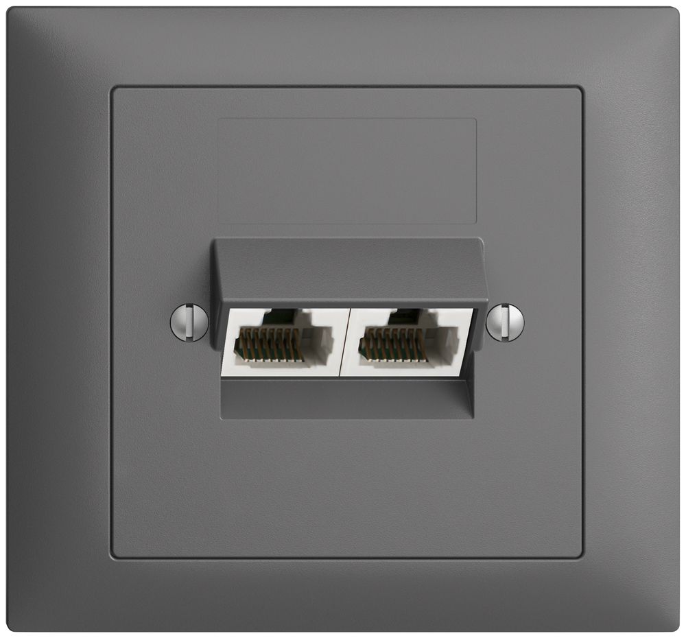 EB-Dose 2×RJ45/u 4P getr. EDIZIOdue dunkelgrau, ITplus