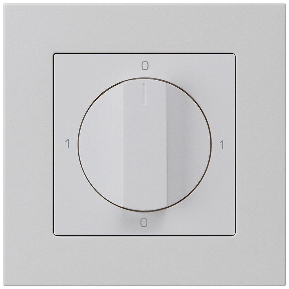 Interrupteur rotatif ENC kallysto.pro 0/2L gris clair avec manette
