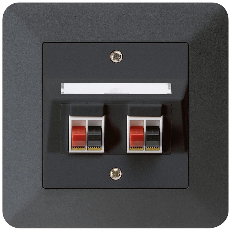 Prise ENC audio kallysto.trend 2× noir borne à étrier pour 2 haut-parleurs