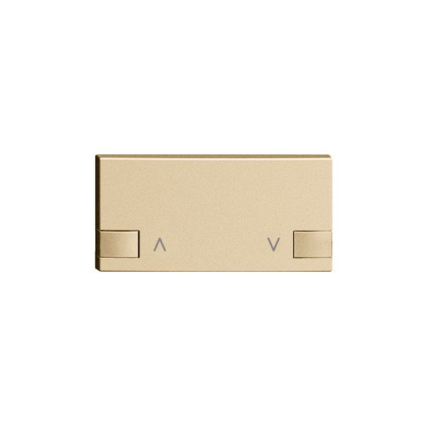 Taste 1/2 ZEP, Motor sand