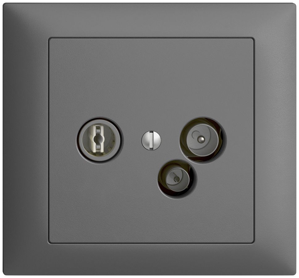 EB-Datendose TV-R DD11 5…65MHz EDIZIOdue dunkelgrau