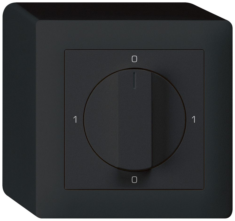 AP-Drehschalter kallysto 0/2L schwarz mit Drehgriff