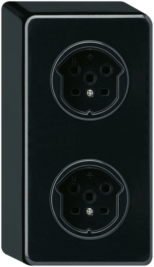 Combinaison AP 2×1 HA basico 2×type 15 avec bornes enfichables noir