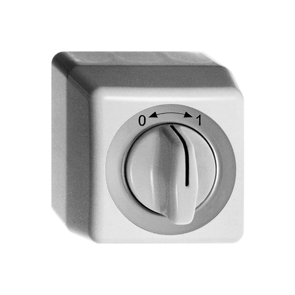 AP-Schwenktaster 0<->1 weiss mit Drehgriff