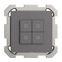 UP-Szenentaster 4 Szenen/4T Edue Wiser dunkelgrau