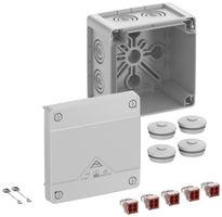 Scatola di derivazione AP Spelsberg Abox Pro 040-4² 102×102×70mm IP69 gr