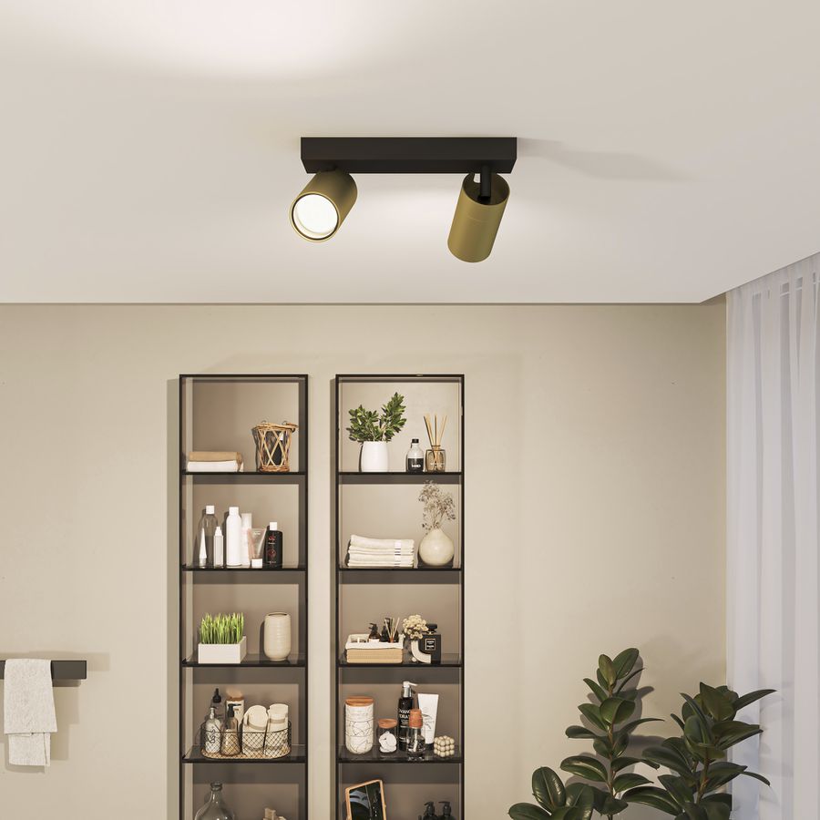 Spot Philips Idris GU10 2×5W IP44 240×119mm schwarz/Messing