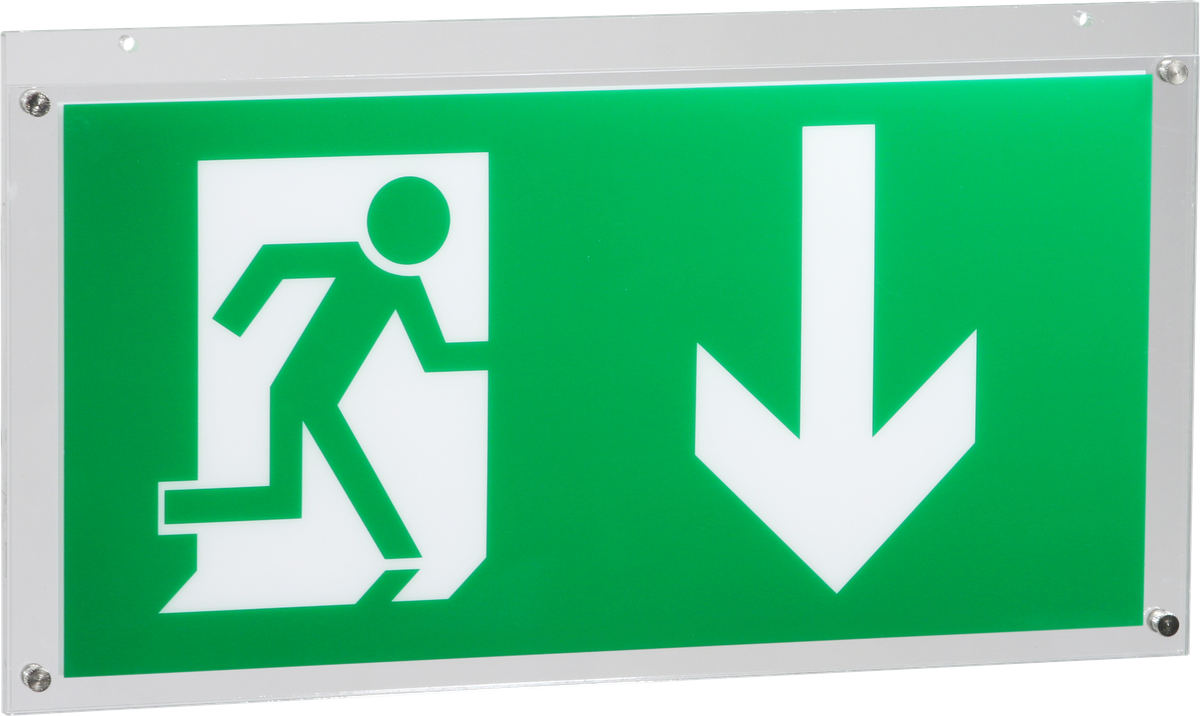 Plaque avec pictogramme ESYLUX SLD, recto/verso, flèche vers le bas