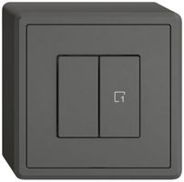 AP-Nebenstelle Schalter EDIZIO.liv Wiser SNAPFIX® 1 Szene 2 Tasten WLAN dgu