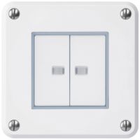 Contatto pulsante INC robusto IP55 2×1P bianco 2×illuminato